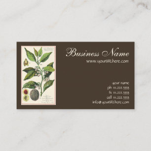 Vintage Nutmeg Pflanze Fruchtsaat, Gewürze für Leb Visitenkarte