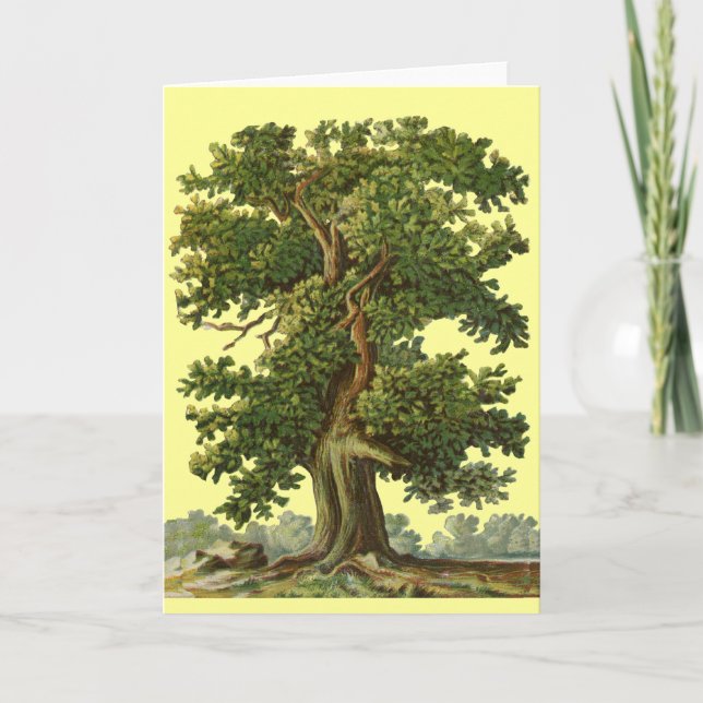 Vintage Oak Tree Art Blank Card Karte (Vorderseite)