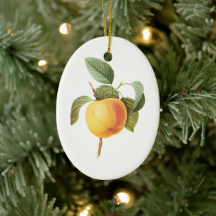 Vintage Obst Nahrung, Calville Apfel von Redoute Keramik Ornament