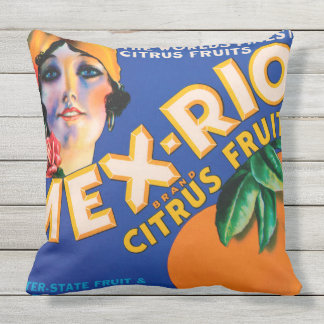VINTAGE OBSTKISTE Wurfkissen Kissen Für Draußen