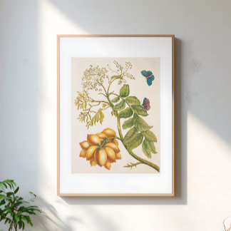 Vintage Obstpflanze mit Schmetterlingen Kunst Poster