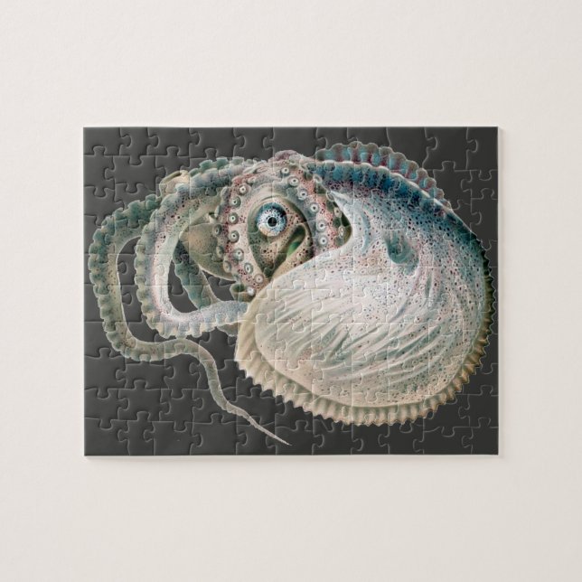 Vintage Octopus Argonaut, Meerestiere Puzzle (Horizontal)