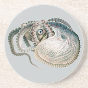 Vintage Octopus Argonaut, Meerestiere Untersetzer
