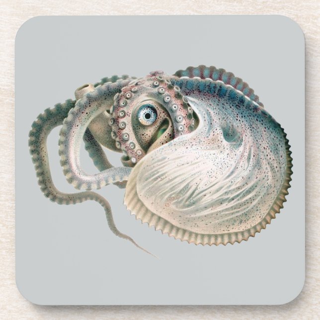 Vintage Octopus Argonaut, Meerestiere Untersetzer (Vorderseite)