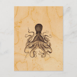 Vintage Octopus-Illustration in Braun Postkarte