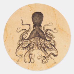 Vintage Octopus-Illustration in Braun Runder Aufkleber