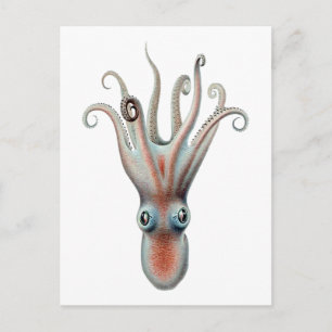 Vintage Octopus-Illustration Postkarte