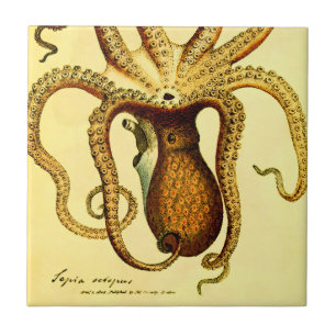 Vintage Octopus Nr. 46 Archival Keramik-Unterlag Fliese