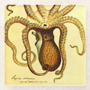 Vintage Octopus Nr. 46 Archivaler Glasuntersetze Glasuntersetzer