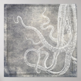 Vintage Octopus Silberschnecke Grau Poster