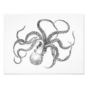 Vintage Octopus-Vorlage Fotodruck
