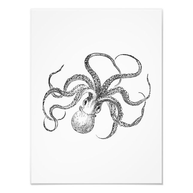 Vintage Octopus-Vorlage Fotodruck (Vorne)