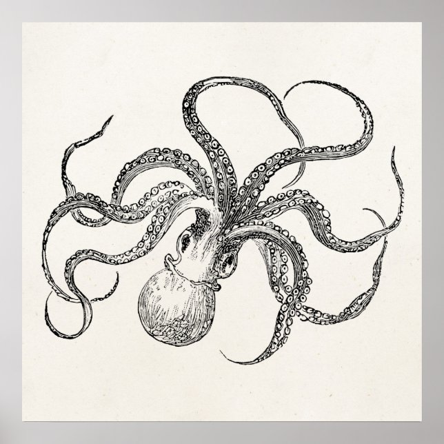 Vintage Octopus-Vorlage für antikes Papier Poster (Vorne)
