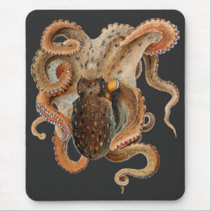 Vintage Octopus Vulgaris, Meerestiere Mousepad