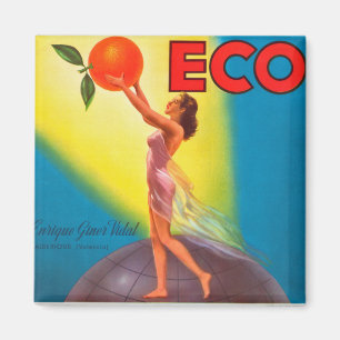 Vintage-Öko-Orangenetikett Magnet
