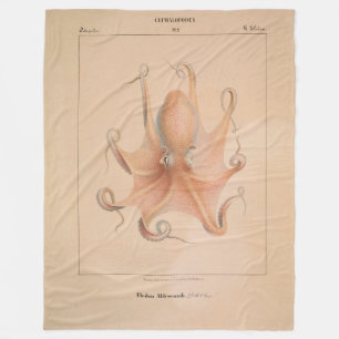 Vintage-Oktopus 1851 Eledon Aldrovandi Fleecedecke