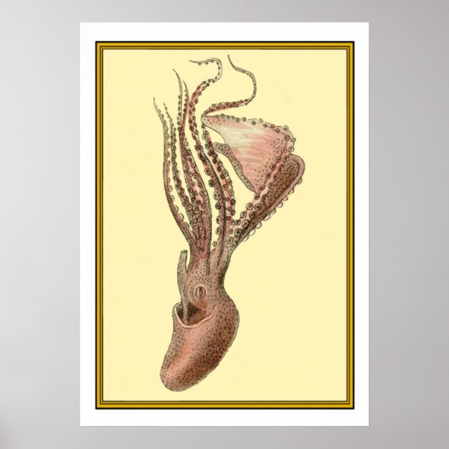Vintage-Oktopus  Poster (Vorne)