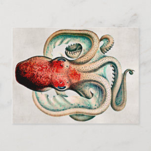 Vintage Oktopus Postkarte