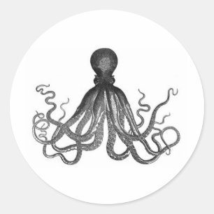 Vintage-Oktopus-Stich Runder Aufkleber