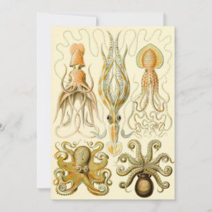 Vintage-Oktopus-Tintenfisch Gamochonia von Ernst H Einladung