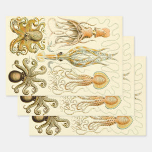 Vintage-Oktopus-Tintenfisch Gamochonia von Ernst H Geschenkpapier Set