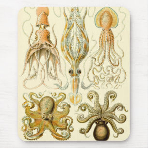 Vintage-Oktopus-Tintenfisch Gamochonia von Ernst H Mousepad