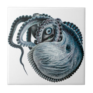 Vintage Oktopus Tintenfisch Nautilus Argonaut Fliese