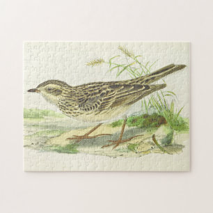 Vintage-Optik-Vogel-Steht-auf-dem-Boden-Puzzle Puzzle