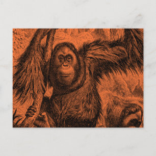 Vintage Orang-Utan Illustration in Orange - Affe Postkarte