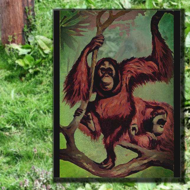 Vintage Orang-Utans auf einem Baum Postkarte (Von Creator hochgeladen)