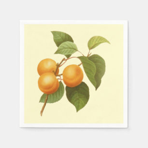 Vintage Orange Apricots Aquarell Zeichnend Serviette
