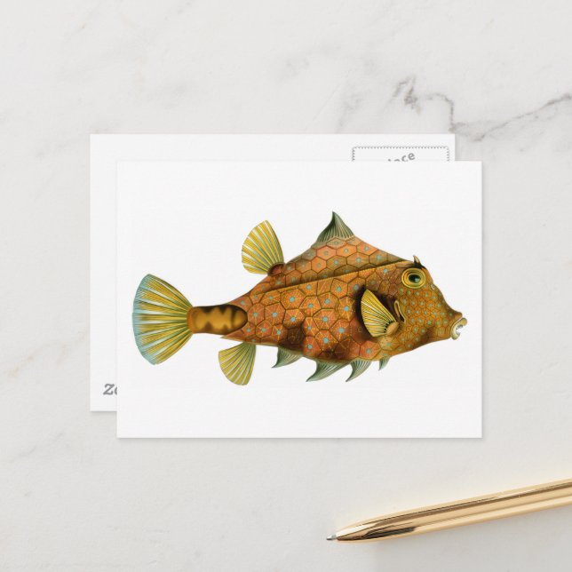 Vintage Orange Fisch Postkarte (Vorderseite/Rückseite Beispiel)