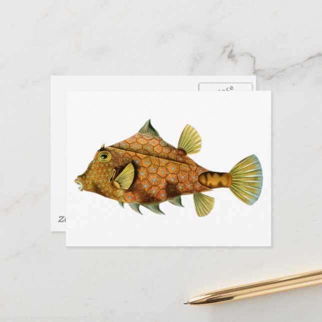 Vintage Orange Fisch Postkarte (Vorderseite/Rückseite Beispiel)