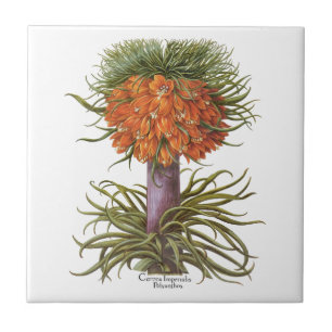 Vintage Orange Fritillaria Blumen Basilius Besler Fliese