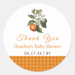 Vintage Orange Gingham Babyparty Danke Runder Aufkleber
