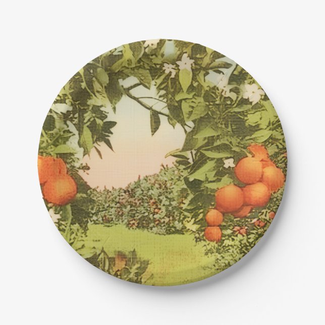 Vintage Orange Grove Pappteller (Vorderseite)