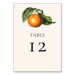 Vintage Orange-Zitrusgrün Botanische Hochzeit Tischnummer