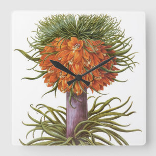 Vintage Orangen-Fritillaria-Blüten Basilius Besler Quadratische Wanduhr
