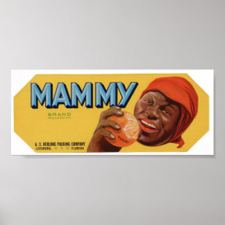 Vintage Orangen Fruchtkäfige Poster