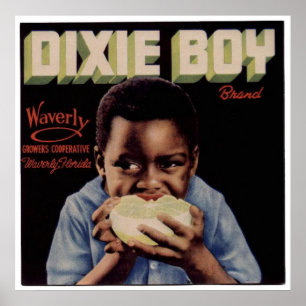 Vintage Orangen Fruchtkäfige Poster