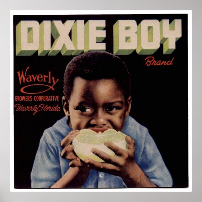 Vintage Orangen Fruchtkäfige Poster (Vorne)