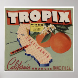 Vintage Orangen Fruchtkäfige Poster