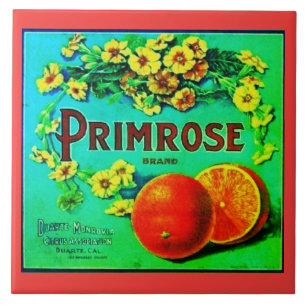 Vintage Orangen Fruchtwerbeetikett Fliese