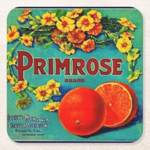 Vintage Orangen Fruchtwerbeetikett Rechteckiger Pappuntersetzer