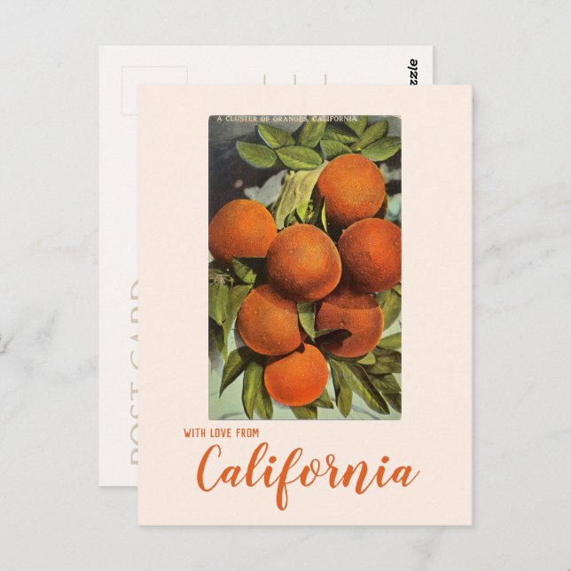 Vintage Orangen Südkalifornien Postkarte (Vorne/Hinten)