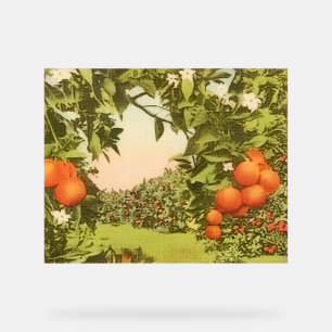 Vintage Orangenhain Acrylschild
