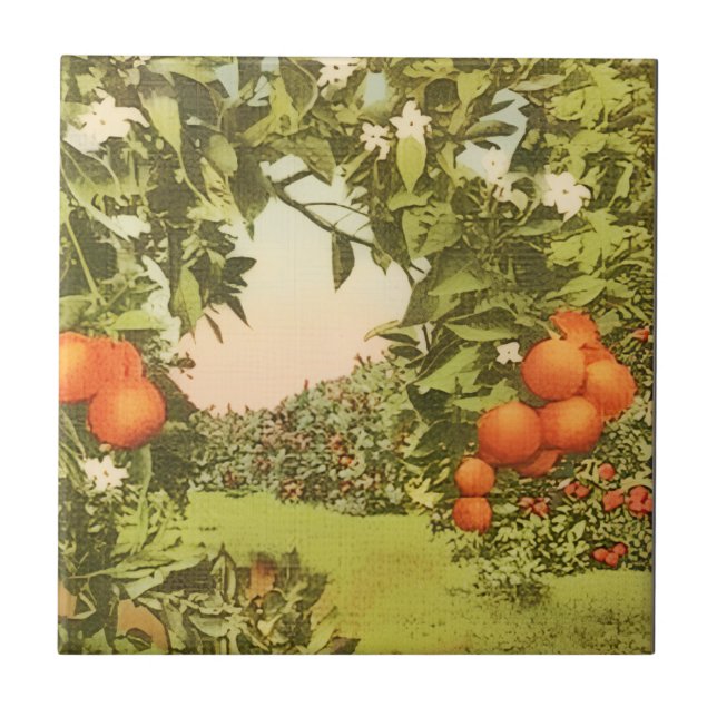 Vintage Orangenhain Fliese (Vorderseite)