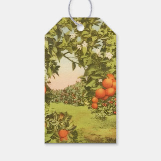 Vintage Orangenhain Geschenkanhänger