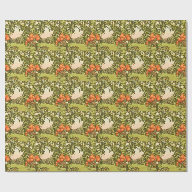 Vintage Orangenhain Geschenkpapier (Flach)