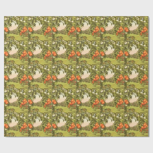 Vintage Orangenhain Geschenkpapier (Flach)